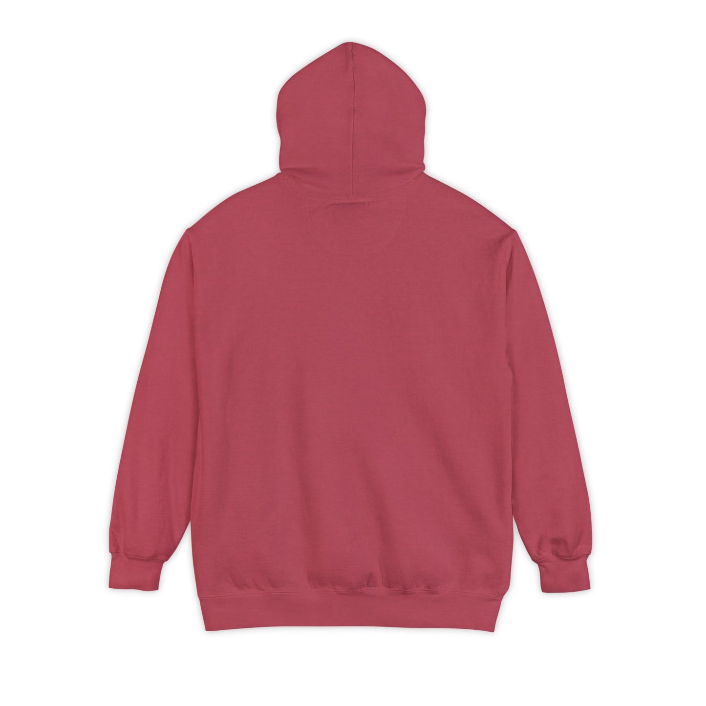 DSU Hoodie