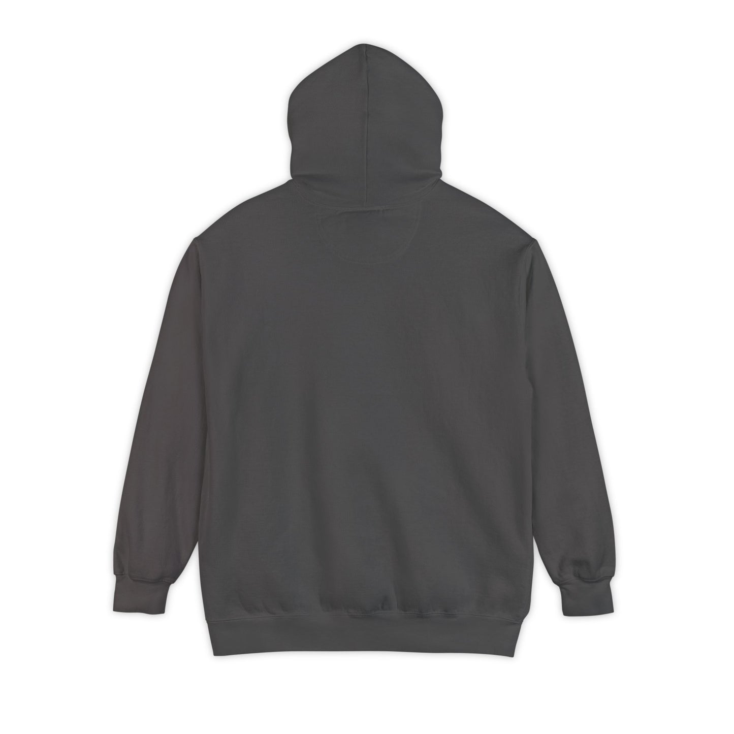 DSU Hoodie