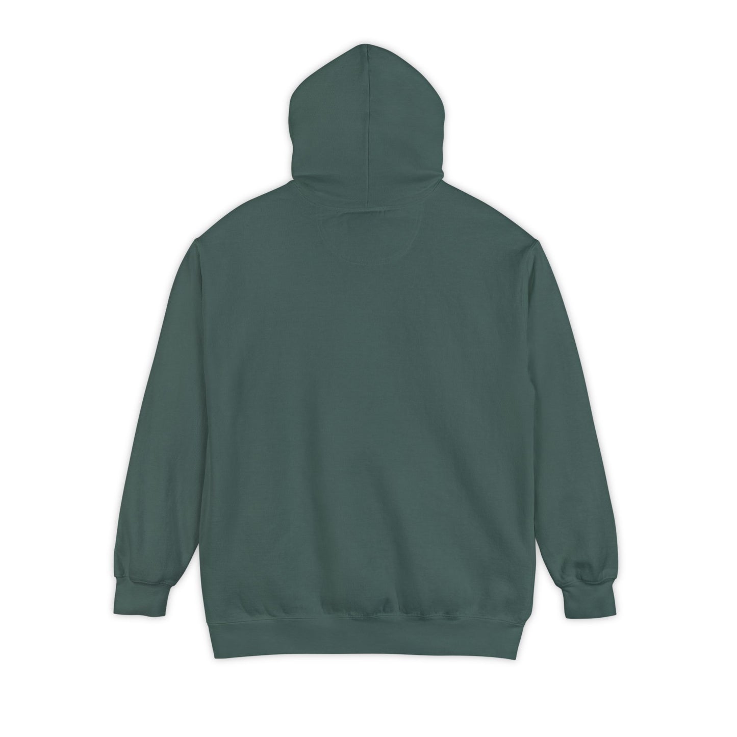 DSU Hoodie