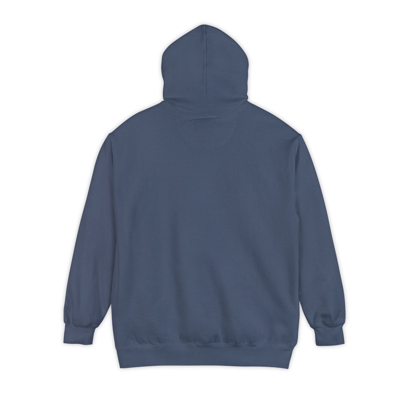 DSU Hoodie