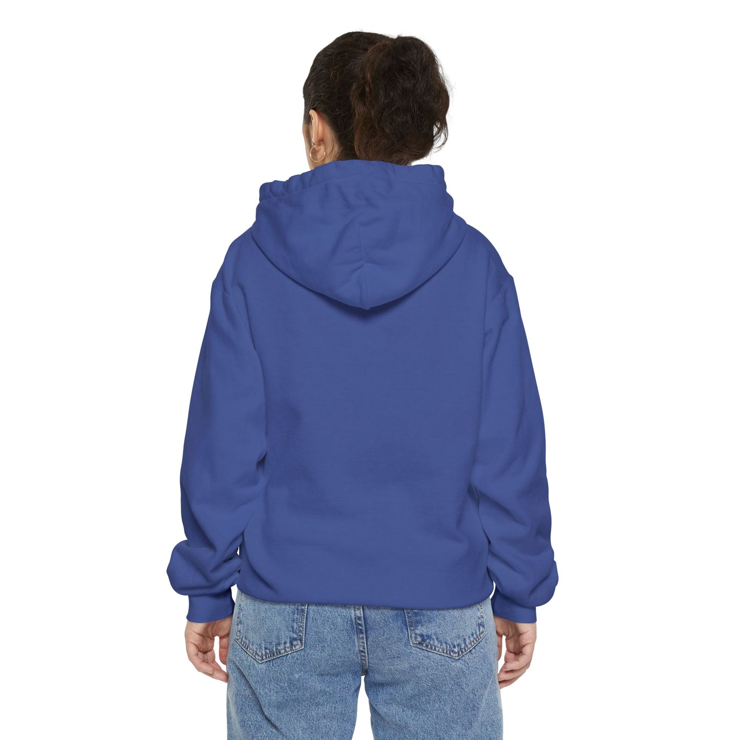 DSU Hoodie