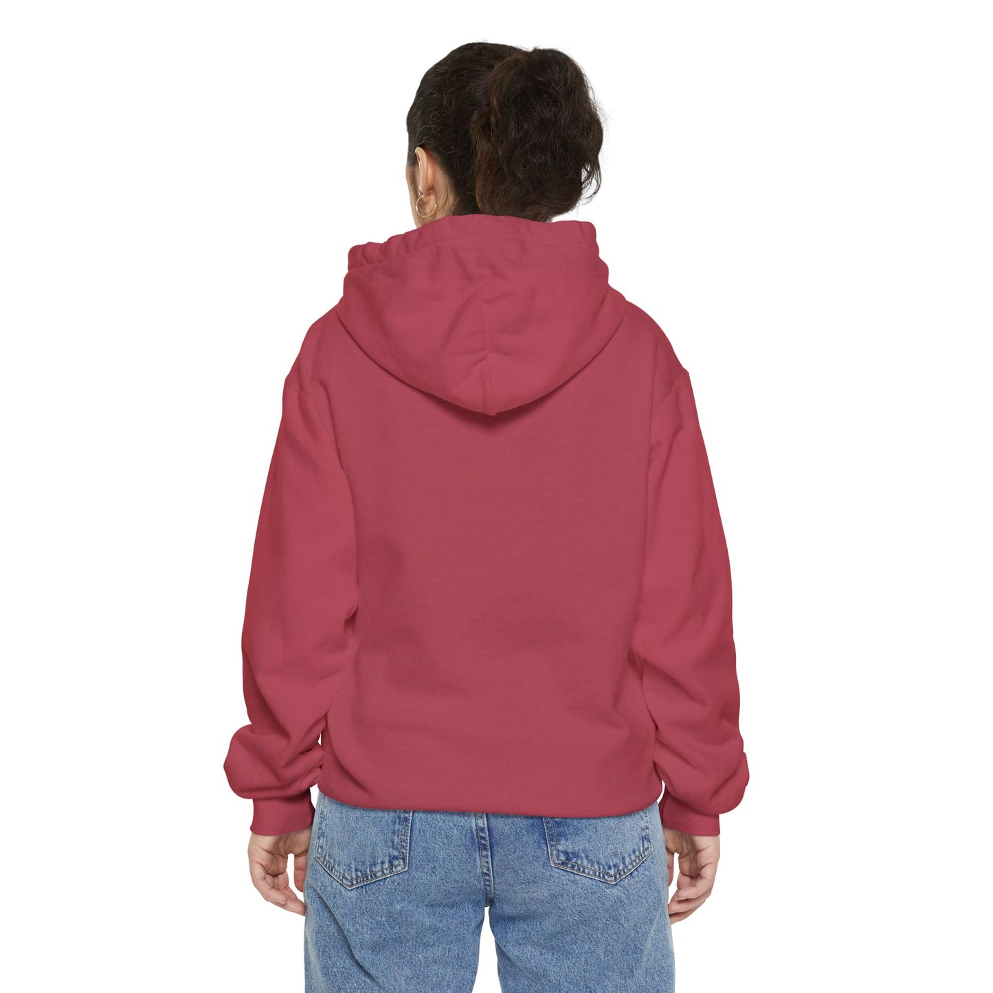 DSU Hoodie