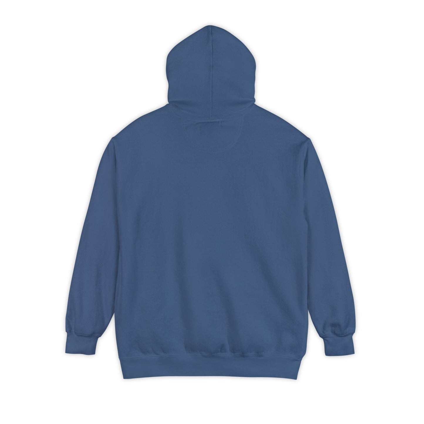 DSU Hoodie