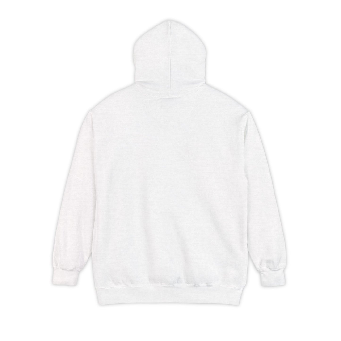 DSU Hoodie