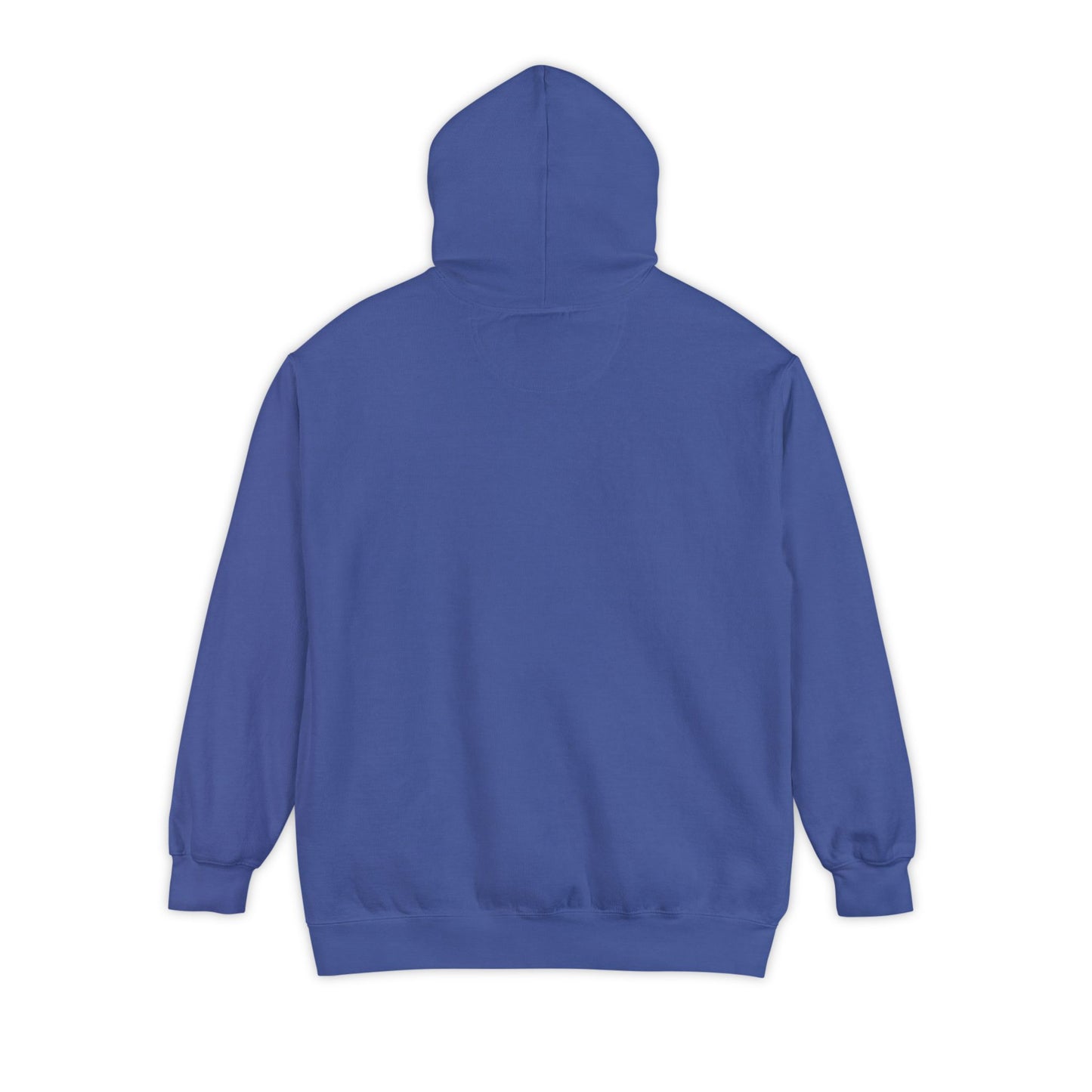DSU Hoodie